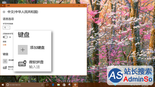 Windows10启用系统自带五笔输入法的步骤4