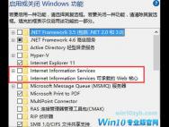 win10正式版C盘inetpub文件夹可以删除吗