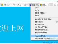 win10系统浏览器网页没声音怎么解决？