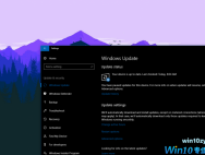 Win10 1903 Build 18362.116修复英国政府网站无法访问