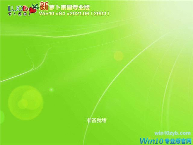 萝卜家园 Win10 64位专业版(2004) v2021.06